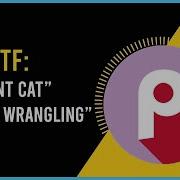 PicoCTF Walkthrough Obedient Cat Python Wrangling EP 01