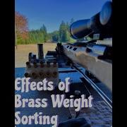 Effects Of Weight Sorting Brass On Precision