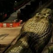 Mega Python Vs Gatoroid43