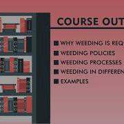 Weeding In Libraries