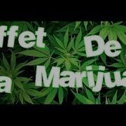 Transformice Bug Cheat Marijuana