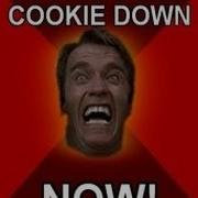 Put That Cookie Down Arnold Schwarzenegger Remix