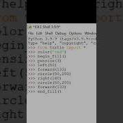 Propose Your Crush With This Python Code