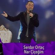 Serdar Ortaç NAR ÇİÇEĞİM