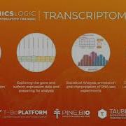 OmicsLogic Transcriptomic Data Analysis Learn RNA Seq Data Analysis With Hands On Training