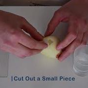 Tutorial How To Prepare An Onion Slide Sample Old Ted