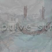 Shadowraze LXNER Quiizzzmeow Adaptive Strike CS GO Fragmovie