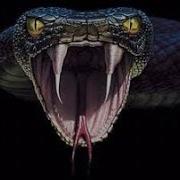 Pelicula Boa Vs Python