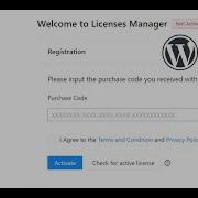 How To Activate The Theme S License Envato Item Purchase Key Customizer Theme Panel