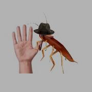 Pet The Dancing Cockroach