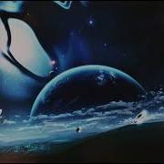 Klaas Gravity