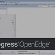 Creating Progress OpenEdge Data Object Services