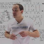 Secondary Structure Of Proteins