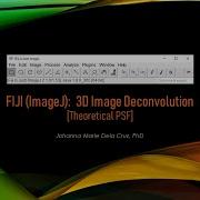 FIJI ImageJ 3D Image Deconvolution Theoretical PSF