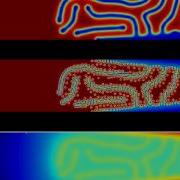 Thermal Reaction Diffusion With Different Diffusion Coefficients