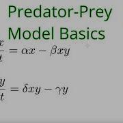 Predator Prey Model Lotka Volterra Overview And Steady States