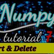 7 Insert Delete In Numpy Python NumPy Tutorial Part 7 Python Numpy Tutorial For Beginners
