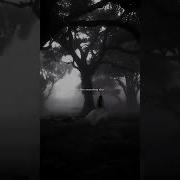 Lana Del Rey Summertime Sadness Lyrics Think I Ll Miss You Forever Song Music Slowed