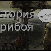 Сталкер история прибоя