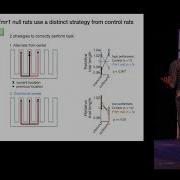 David Kastner Individuals Use Distinct Strategies In A Changing Spatial Memory Task Cosyne 2018