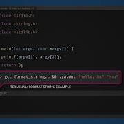 Sample Building Secure C C Applications Identifying Format String Vulnerabilities