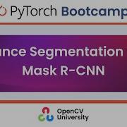 Pytorch Bootcamp For Beginners 9 Instance Segmentation With Mask RCNN