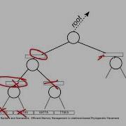 Efficient Memory Management In Likelihood Based Phylogenetic Placement
