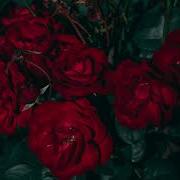 Blackbear Dirty Laundry Slowed Down Reverb