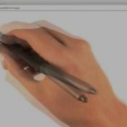 Hidden Inputs Web Development