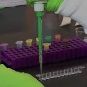 DVM VetMed Qualitative ELISA And Quantitative ELISA
