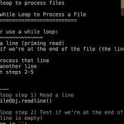 Loops And Files