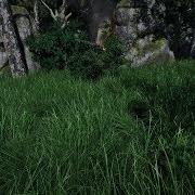 UNITY3D Test Grass 3
