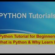 Python Tutorial For Beginners Why Learn Python Why Is It So Popular And It S Real Life Use Cases