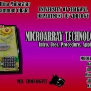 Microarray Introduction Uses Procedure Applications Of Microarray Microarray Technology BS