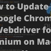 How To Update The Google Chrome Webdriver For Selenium On Mac OS X