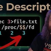 Understanding File Descriptors In Unix Linux