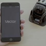 Vector Onboarding Series Getting Started