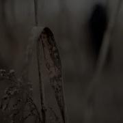 Hands Of Despair Veil OFFICIAL VIDEO