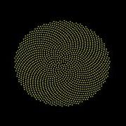 Generating Sunflower Florets Using Fibonacci Angle In Fortran And Gnuplot