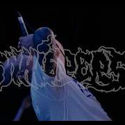 WHISPERS 4K MULTICAM FULL SET DIGITAL NEWCASTLE 18 04 26