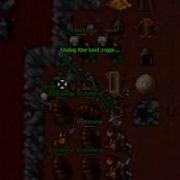 Tibia Best Trap Rook Chu