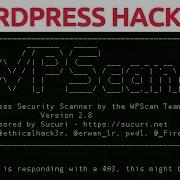 WordPress Vulnerability Scanning With WPScan