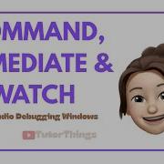 Visual Studio Debugging Windows Command Immediate Watch Window