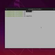 Основы Linux копирование и вставка в терминале
