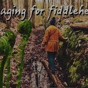 Foraging For Fiddlehead Ferns Recipe With Celtic Music