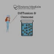 Diffusion Und Osmose