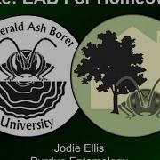 EAB For Homeowners