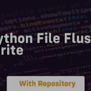 Python File Flush Write