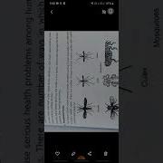 Introduction To Pest