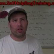 Combining Obedience And Bite Work